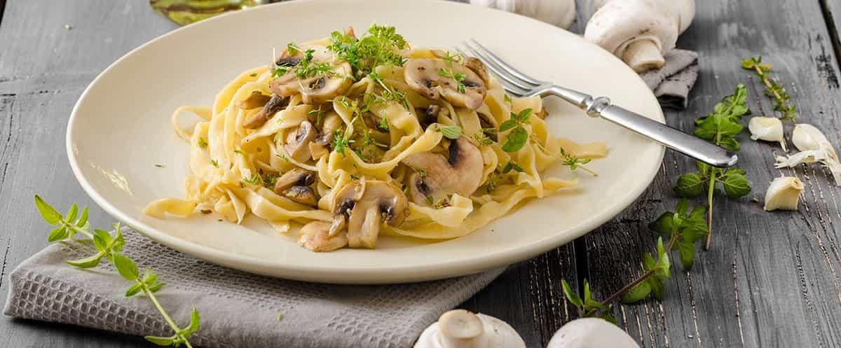 piatto di pasta in primo piano